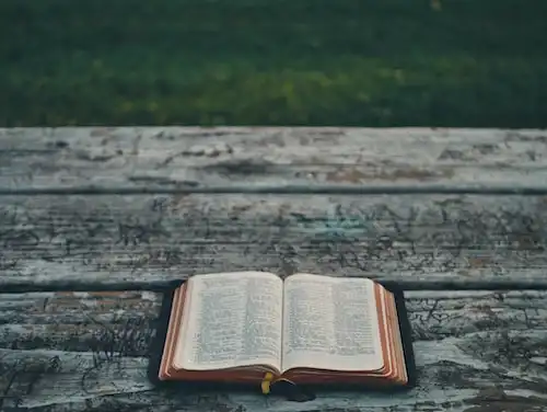 Versets Bibliques sur À propos des parents qui se trompent