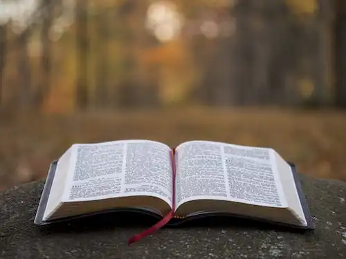 Versets Bibliques sur Aider les autres