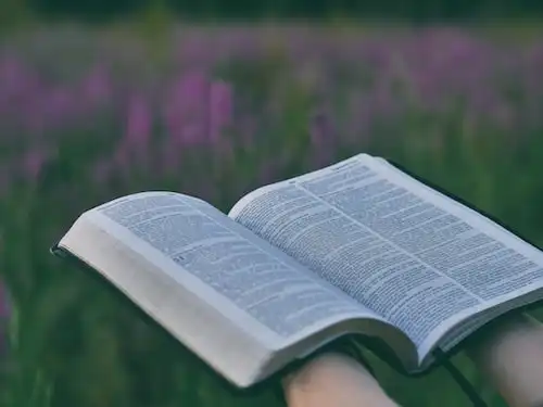 Versets Bibliques sur Amitié