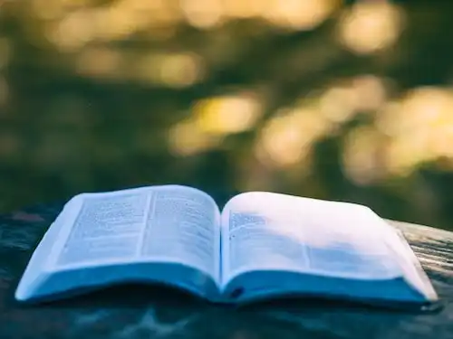 Versets Bibliques sur Bénédictions débordantes