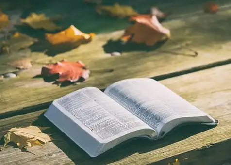 Versets Bibliques sur Conseils