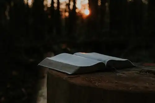 Versets Bibliques sur La grâce et l'amour de Dieu pour les pécheurs