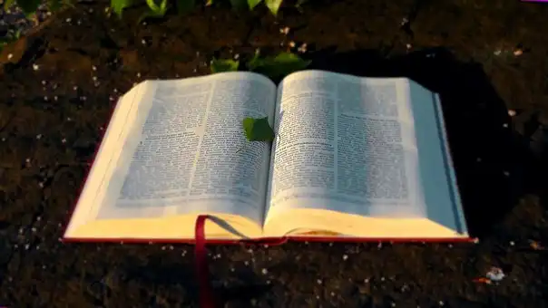 Versets Bibliques sur Lâcher prise sur la culpabilité