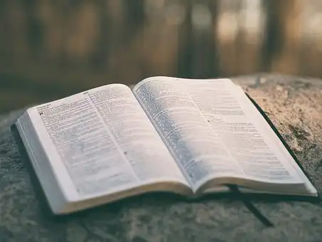 Versets Bibliques sur Miséricorde et grâce