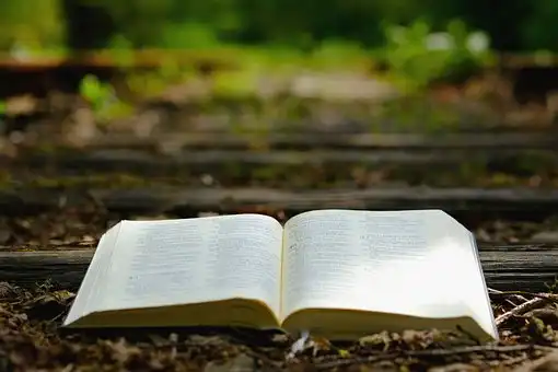 Versets Bibliques sur Ne pas abandonner