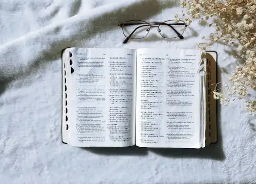 Versets Bibliques sur Noël