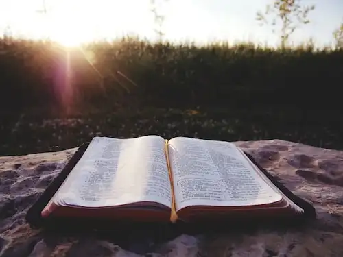 Versets Bibliques sur Obéissance et abandon