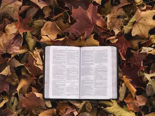 Versets Bibliques sur Peur et anxiété